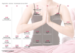 YogAnnette - Zentrum für Yoga - Bewegung - Massage